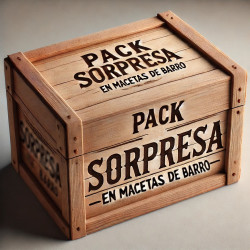 Pack Sorpresa en macetas de...