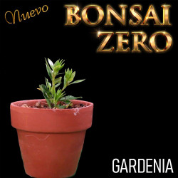 NUEVO Kit Bonsai Zero...