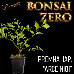 NUEVO Kit Bonsai Zero...