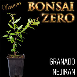 NUEVO Kit Bonsai Zero...