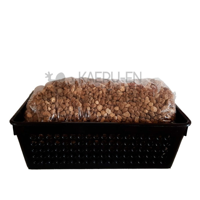 Kit cultivo en coladores RECTANGULAR