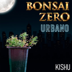 Kit Bonsai Zero URBANO...