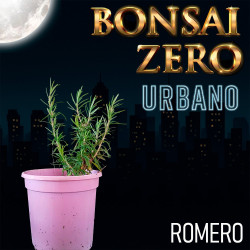 Kit Bonsai Zero URBANO Romero