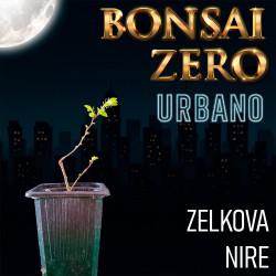 Kit Bonsai Zero URBANO...