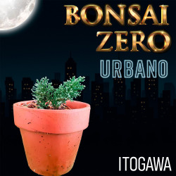 Bonsai Zero URBANO Junípero...
