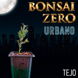 Bonsai Zero URBANO Tejo