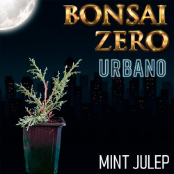 Bonsai Zero URBANO Mint Julep