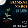 Bonsai Zero URBANO Ficus Green Island