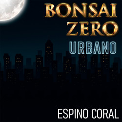 Bonsai Zero URBANO Espino...