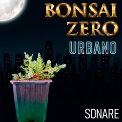 Bonsai Zero URBANO Sonare