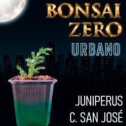 Bonsai Zero URBANO...