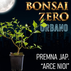 Bonsai Zero URBANO Premna...