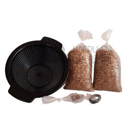 Kit cultivo en coladores...
