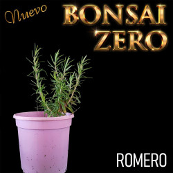 Kit Ishtsuki Bonsai Zero...