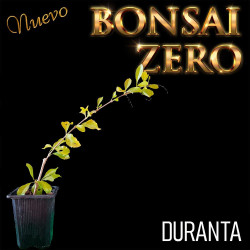Kit Budasai Bonsai Zero...