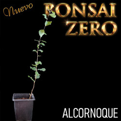 Kit Budasai Bonsai Zero...