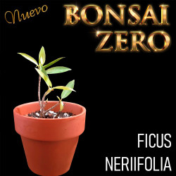 Kit Ishtsuki Bonsai Zero...