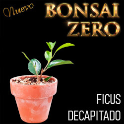 Kit Ishtsuki Bonsai Zero...