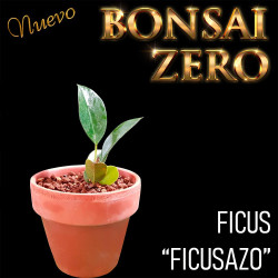 Kit Ishtsuki Bonsai Zero...