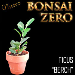 Kit Ishitsuki Bonsai Zero...