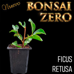 Kit Ishitsuki Bonsai Zero...