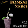 Kit Ishitsuki Bonsai Zero Ficus Triangularis
