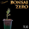 Kit Ishitsuki Bonsai Zero Tejo