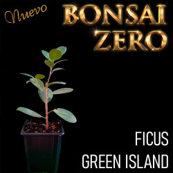 Kit Ishitsuki Bonsai Zero...