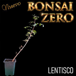 Kit Ishitsuki Bonsai Zero...
