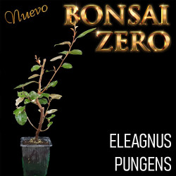 Kit Ishitsuki Bonsai Zero...