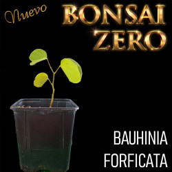 Kit Ishitsuki Bonsai Zero...