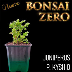 Kit Ishitsuki Bonsai Zero...