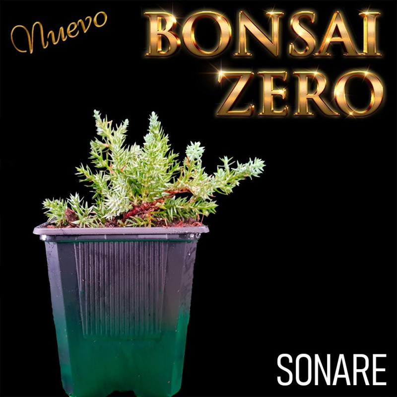 Kit Ishitsuki Bonsai Zero Sonare