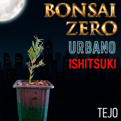 Ishitsuki Bonsai Zero...