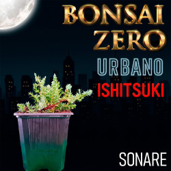 Ishitsuki Bonsai Zero...