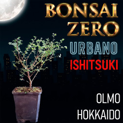 Ishitsuki Bonsai Zero...