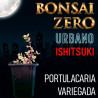 Ishitsuki Bonsai Zero URBANO Portulacaria Variegada