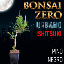 Ishitsuki Bonsai Zero...