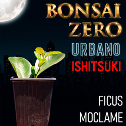 Ishitsuki Bonsai Zero...