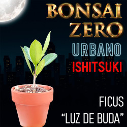Ishitsuki Bonsai Zero...