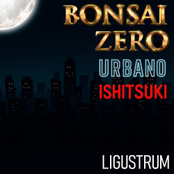 Ishitsuki Bonsai Zero...