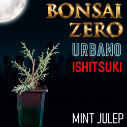 Ishitsuki Bonsai Zero...