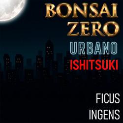 Ishitsuki Bonsai Zero...