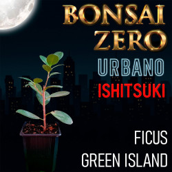 Ishitsuki Bonsai Zero...
