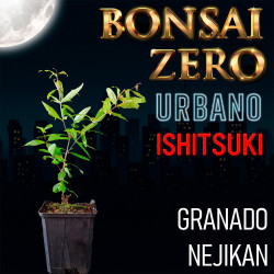 Ishitsuki Bonsai Zero...
