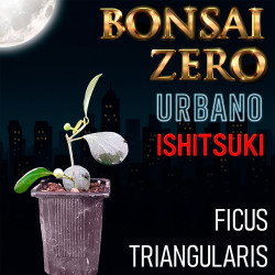 Ishitsuki Bonsai Zero...
