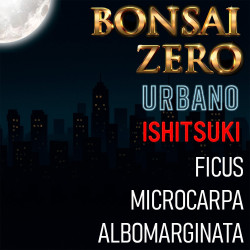 Ishitsuki Bonsai Zero...