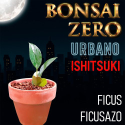 Ishitsuki Bonsai Zero...