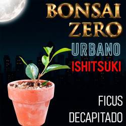 Ishitsuki Bonsai Zero...