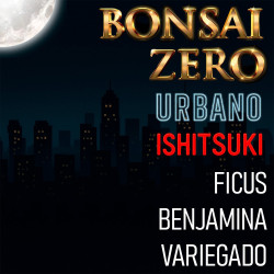 Ishitsuki Bonsai Zero...